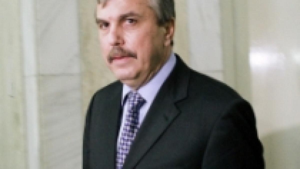 scaderea pretului gazelor conditionata de viitoarea strategie energetica a coalitiei