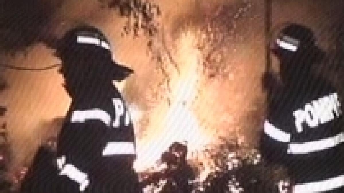 padure din resita cuprinsa de flacari video