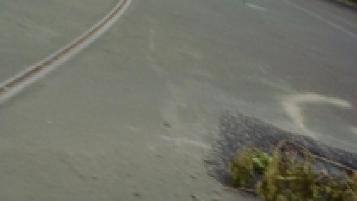 solutii romanesti gaura de canal din mijlocul strazii acoperita cu crengi foto