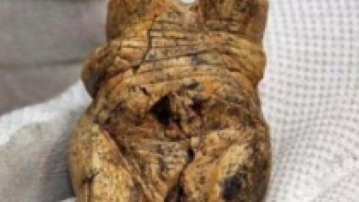 cel mai vechi simbol erotic descoperit in sud vestul germaniei