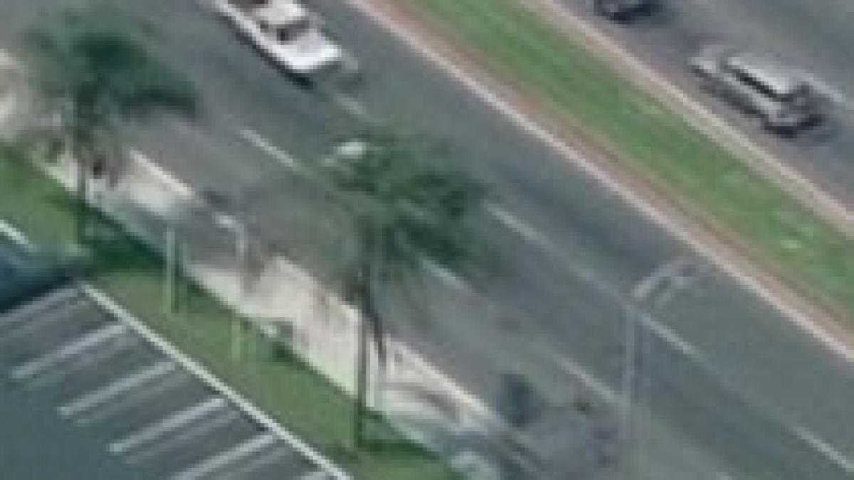 politistii americani iau la bataie un sofer fugar desi acesta se predase video