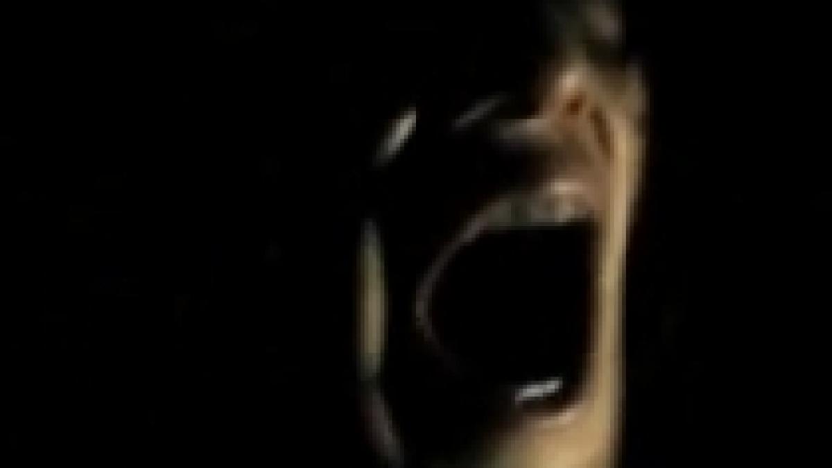 antichrist noua pelicula a lui lars von trier i a uimit pe jurnalistii de la cannes video