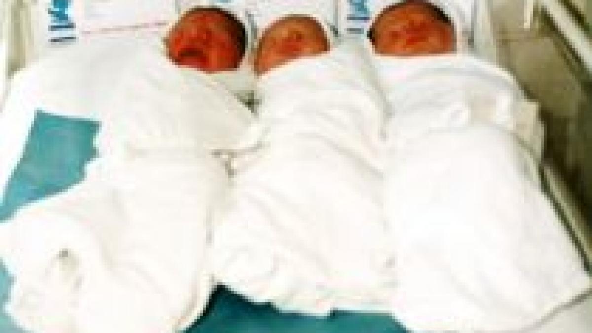 ajutor financiar suplimentar de 600 de lei votat pentru mamele cu gemeni si tripleti