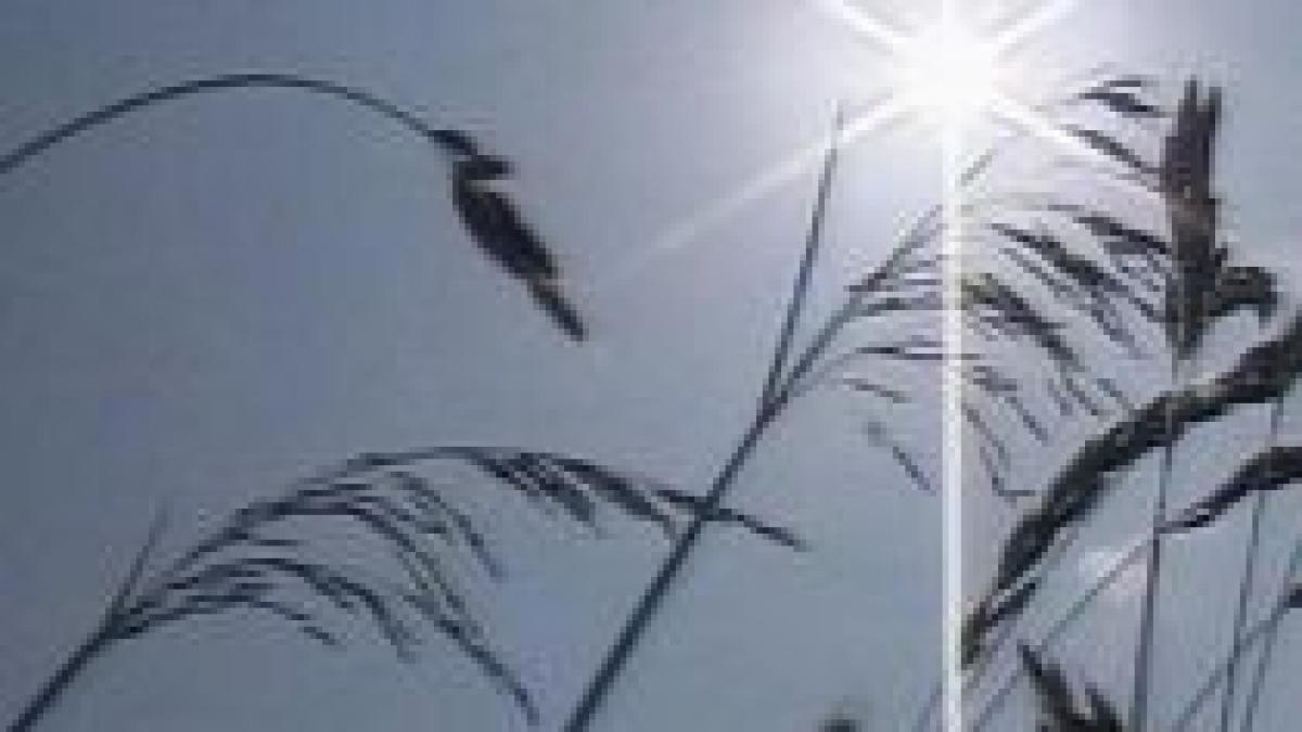 romania amenintata de seceta vezi prognoza meteo pentru trei luni