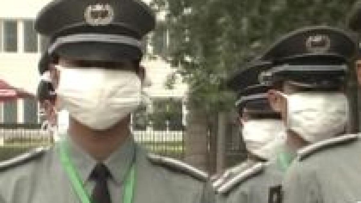 gripa porcina la granita cu romania 15 cazuri suspecte in bulgaria vezi noul bilant