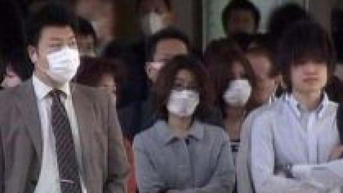 vaccinul impotriva virusului gripei porcine ar putea fi scos pe piata la sfarsitul lui iunie