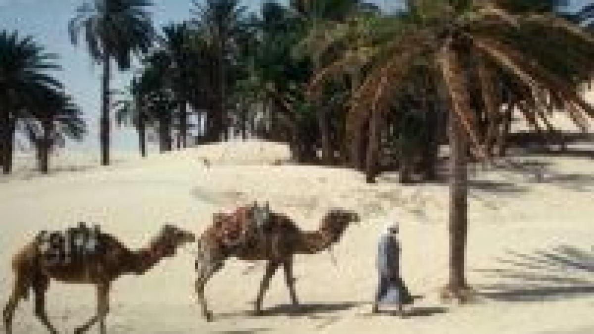 agentii de turism fantoma cum sunt inselati clientii romani cu bilete de avion vandute pe internet