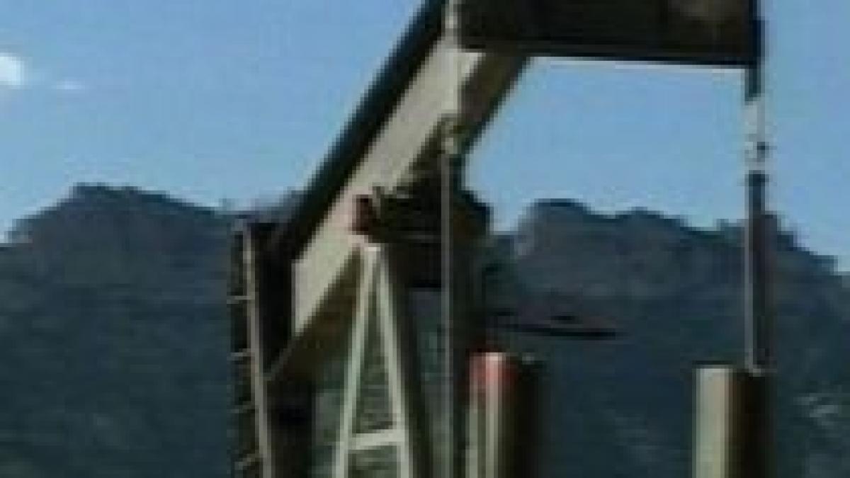 intrunire a ministrilor energiei din g8 pentru stabilizarea pretului petrolului