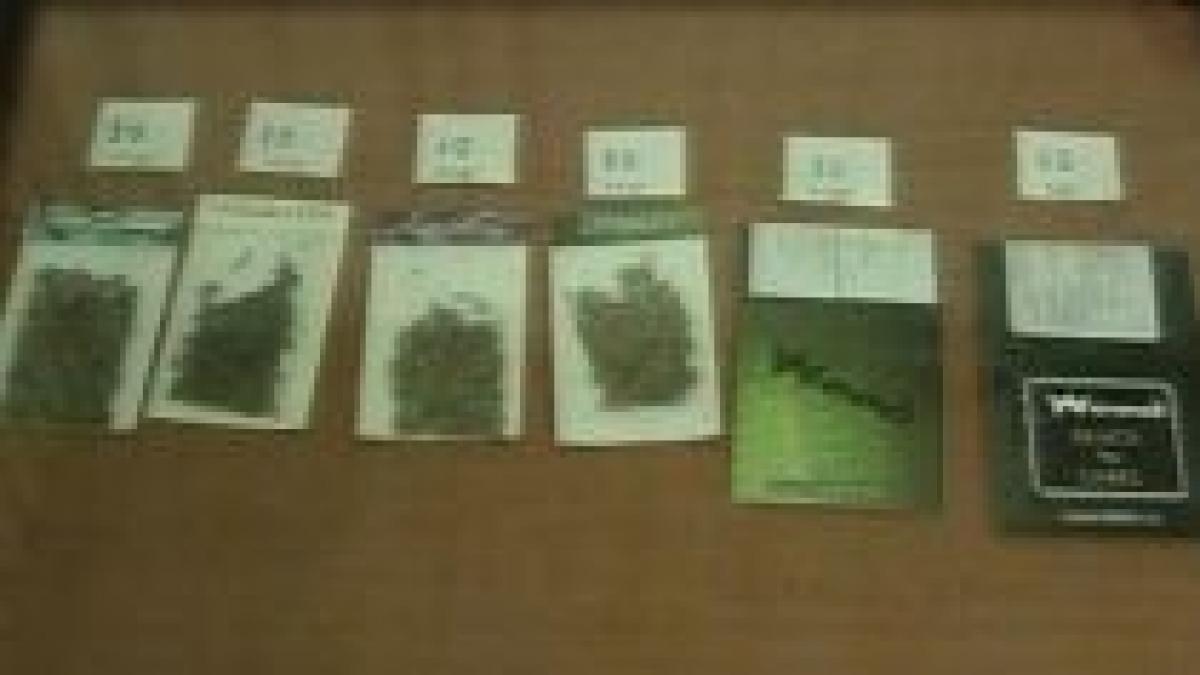 sondaj in randul tinerilor privind consumul de droguri peste 51 vor legalizarea stupefiantelor