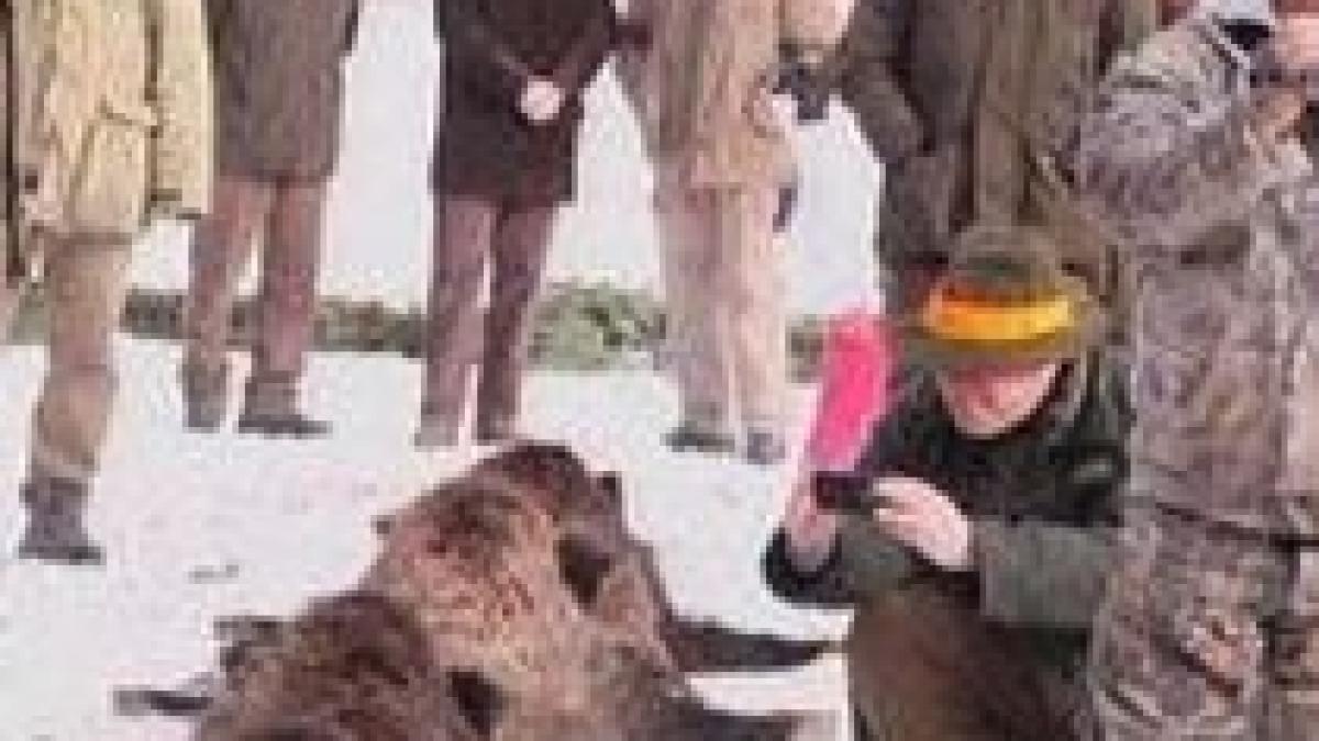 tiriac a renuntat la domeniul de vanatoare de la balc din cauza cheltuielilor de intretinere