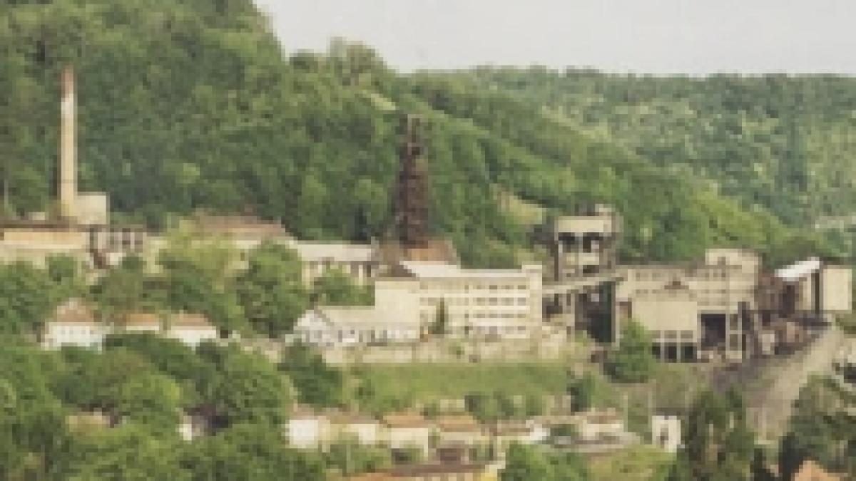 Turnul termocentralei de la Crivina, teza de doctorat a Elenei Ceauşescu, a fost dărâmat (VIDEO)