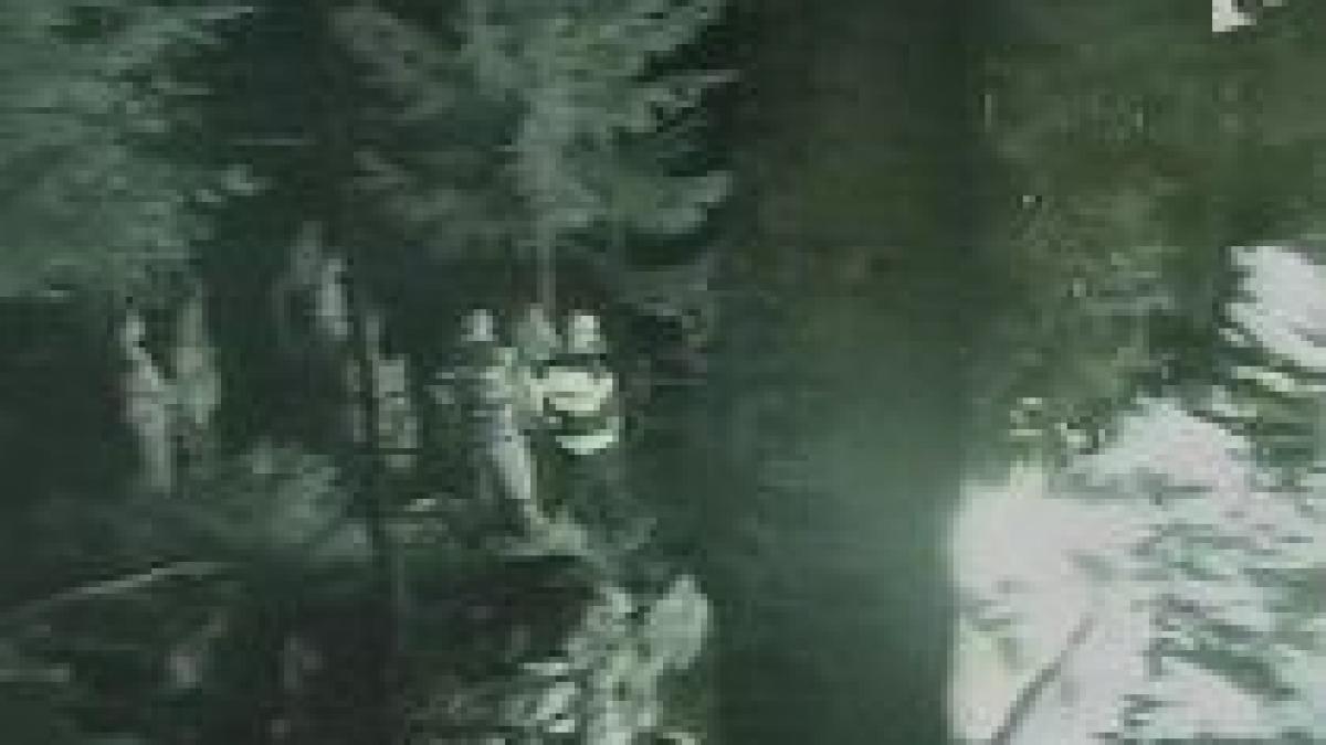 cabana iepurasu de pe muntele mic a ars joi seara