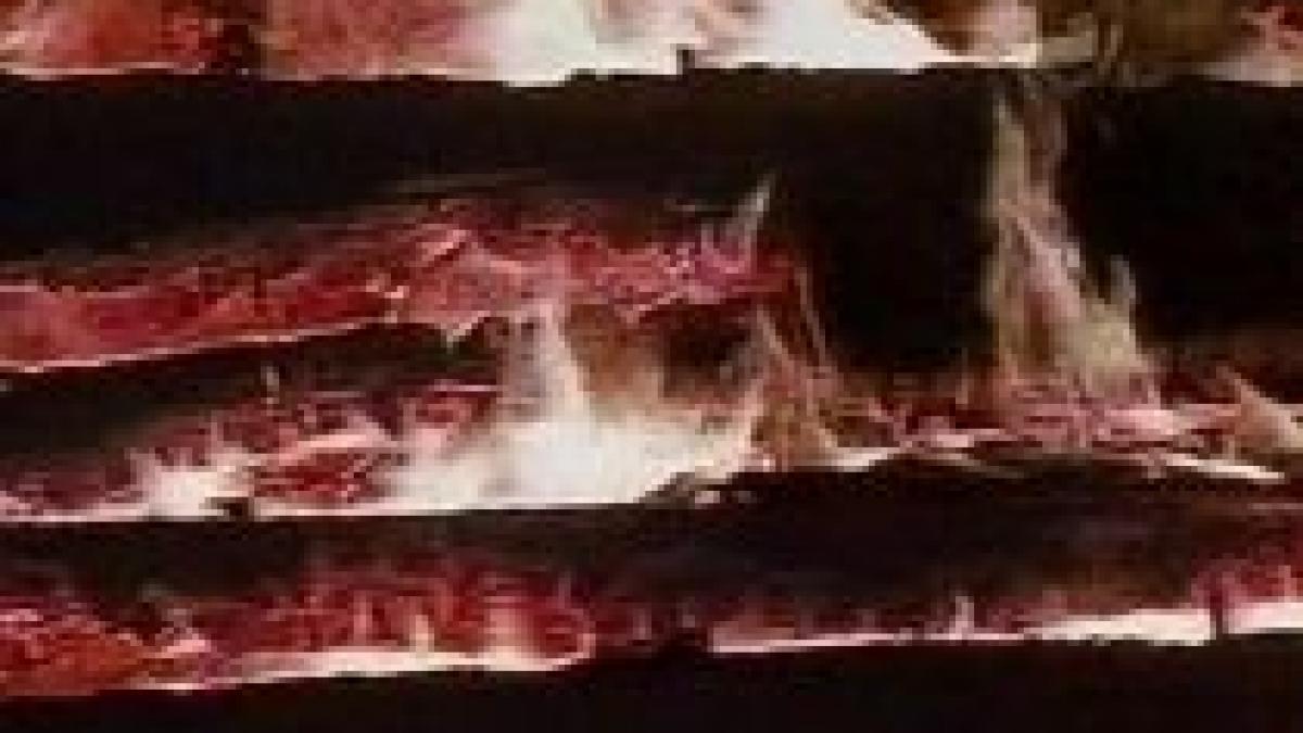 incendiu de proportii pe varful muntelui mic o cabana din lemn a ars in intregime video incendiu de proportii pe varful muntelui mic o cabana din lemn a ars in intregime video