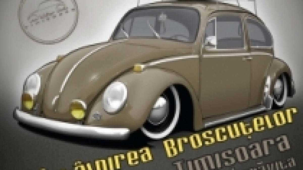 zeci de posesori de broscute volkswagen sunt asteptati la timisoara in acest weekend