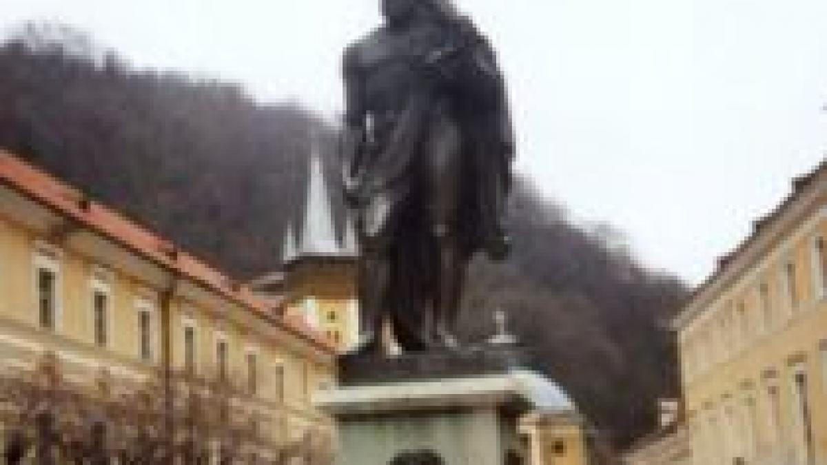 parc din baile herculane defrisat de patronul unei terase