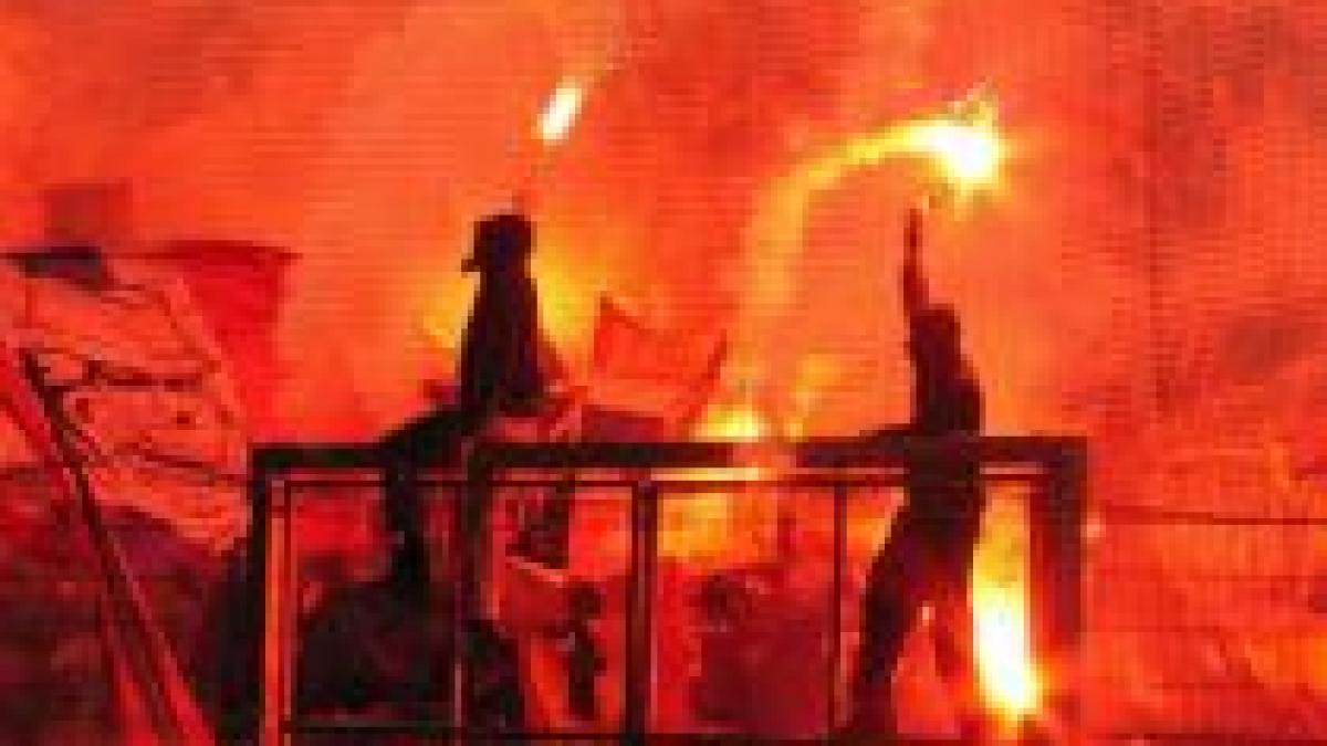 dinamo a ratat campionatul liniste in loja scandal in afara stadionului video