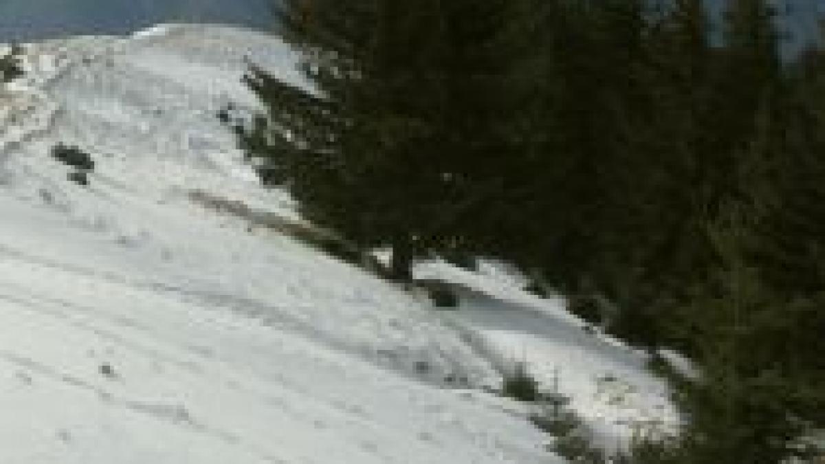 un barbat s a ratacit in masivul leaota din cauza viscolului