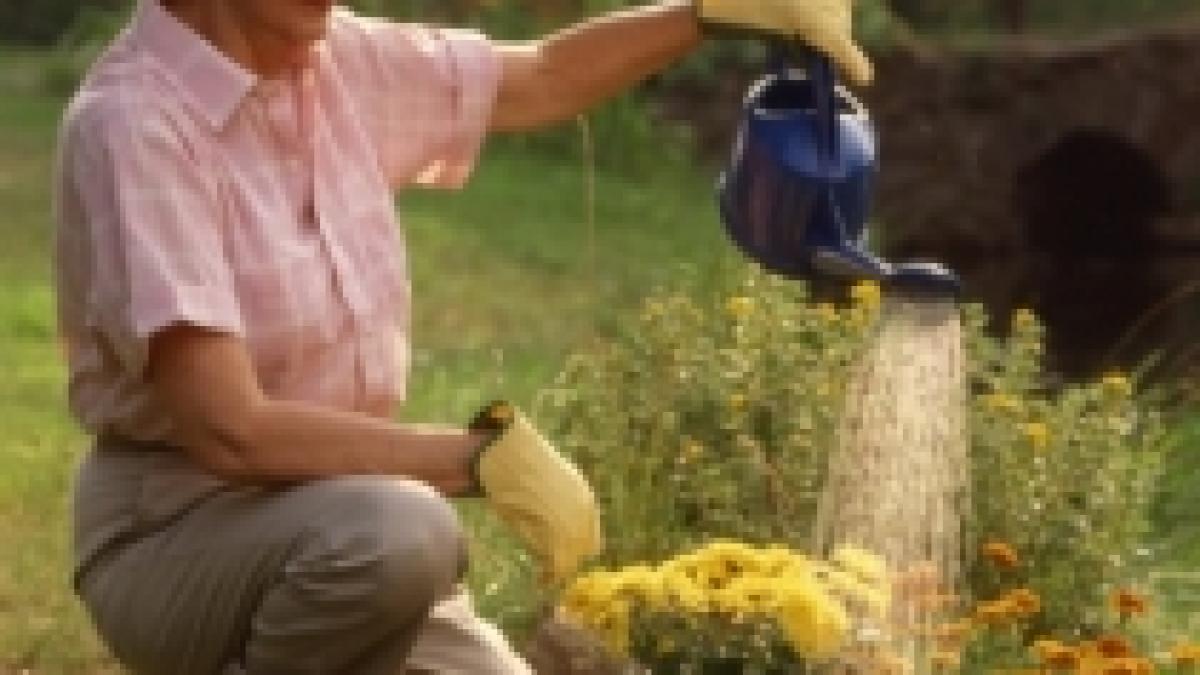 california persoanele care uda mai mult de 10 minute florile platesc amenzi de 1 000 de dolari