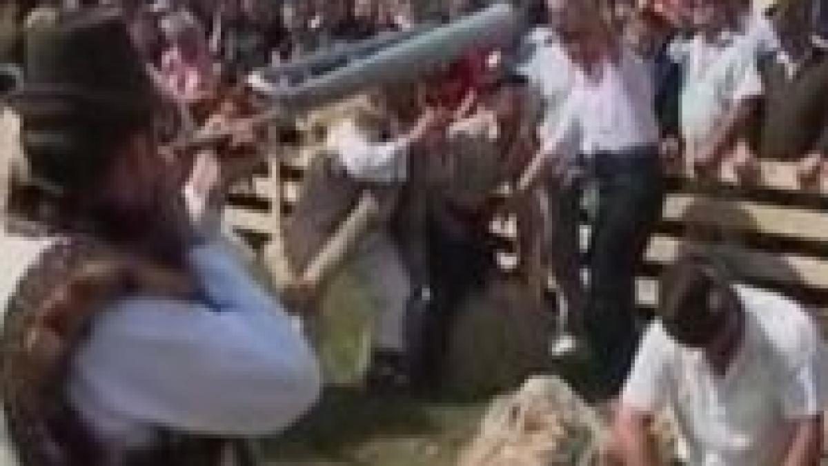 faze memorabile din campania electorala de la limba franceza la droguri pentru tineri video