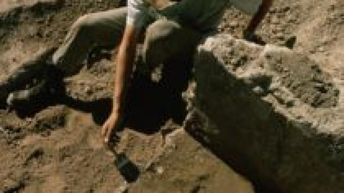 schelet de mamut in stare perfecta de conservare dezgropat in serbia