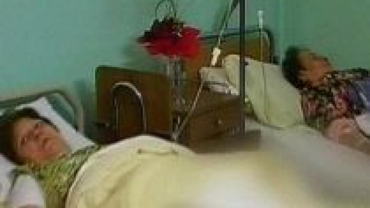 doua femei din timisoara la spital dupa ce au fost atacate de 30 de caini