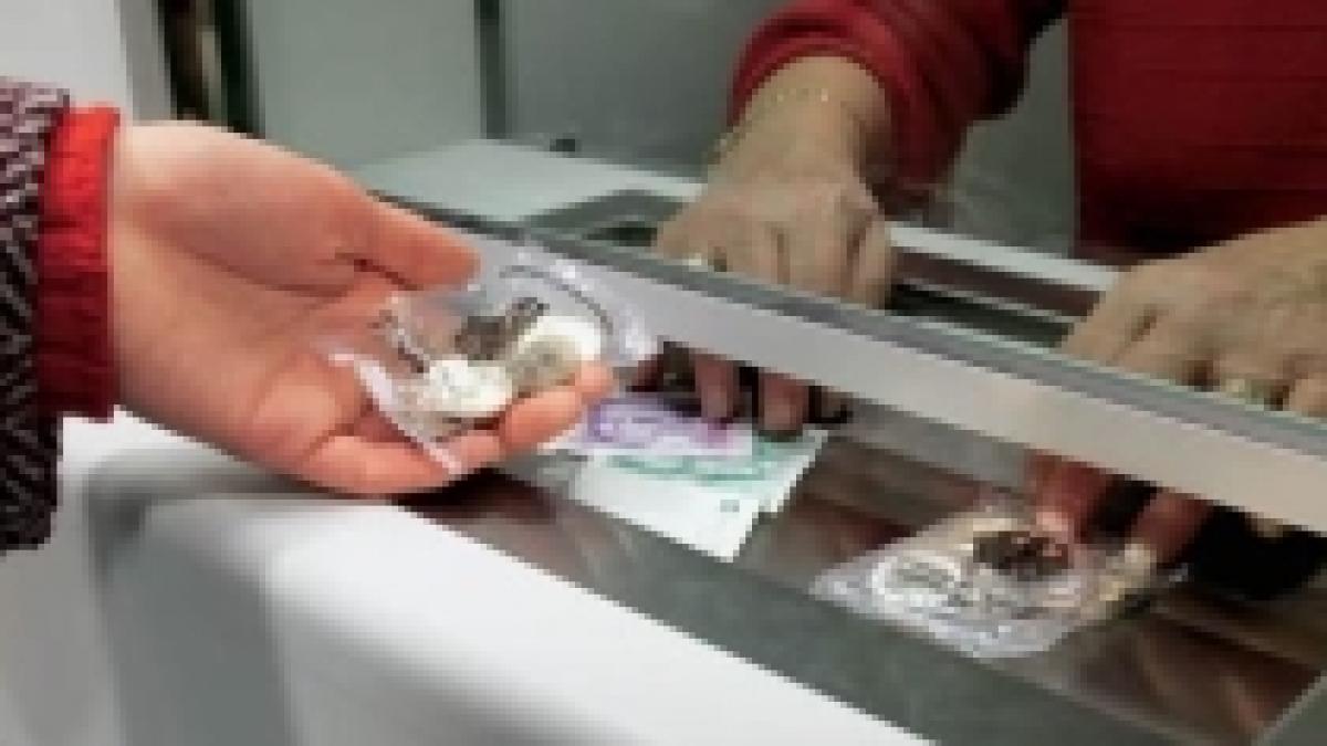 salariile din domeniul bancar au crescut cu 16 in ciuda crizei