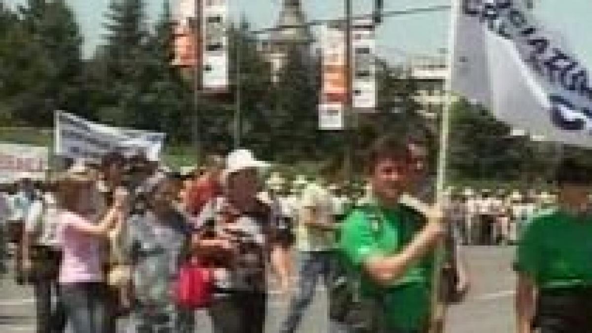 altercatii intre fermieri si jandarmi in timpul protestelor din fata guvernului video