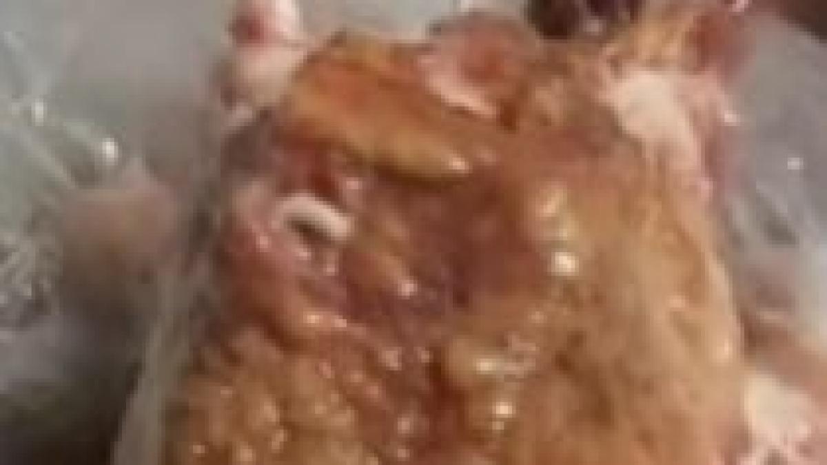 oferta speciala la un magazin din alba carne alterata cu viermi gratuiti video