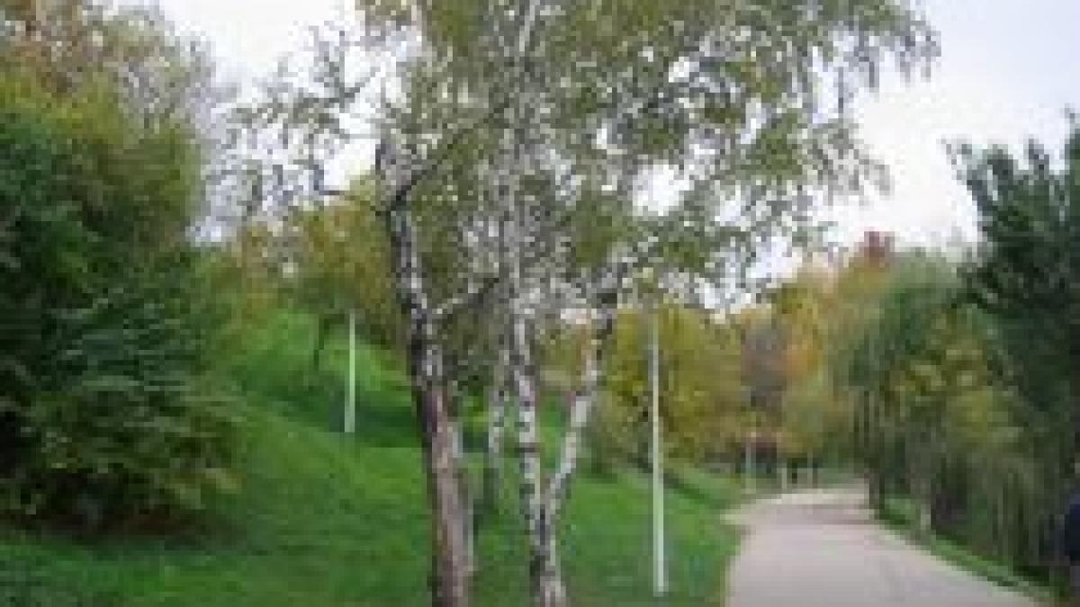 protest in bucuresti fata de retrocedarea unei parti din parcul tineretului