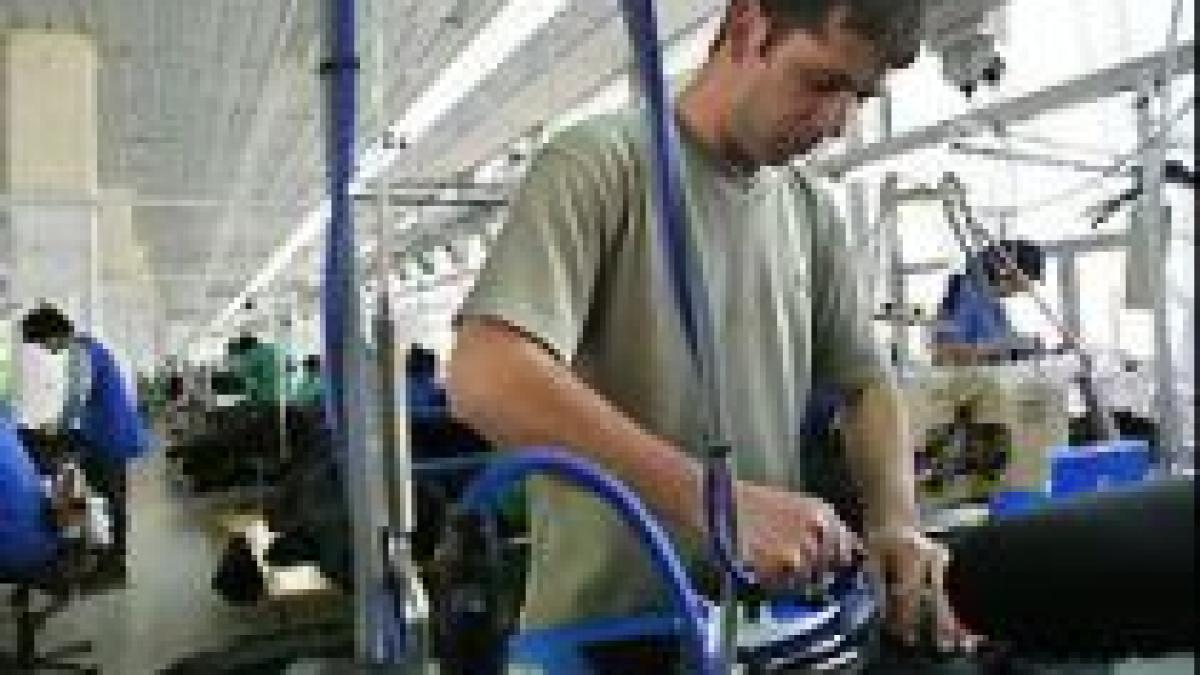 Autorităţile irlandeze inspectează companiile care angajează ilegal români şi bulgari