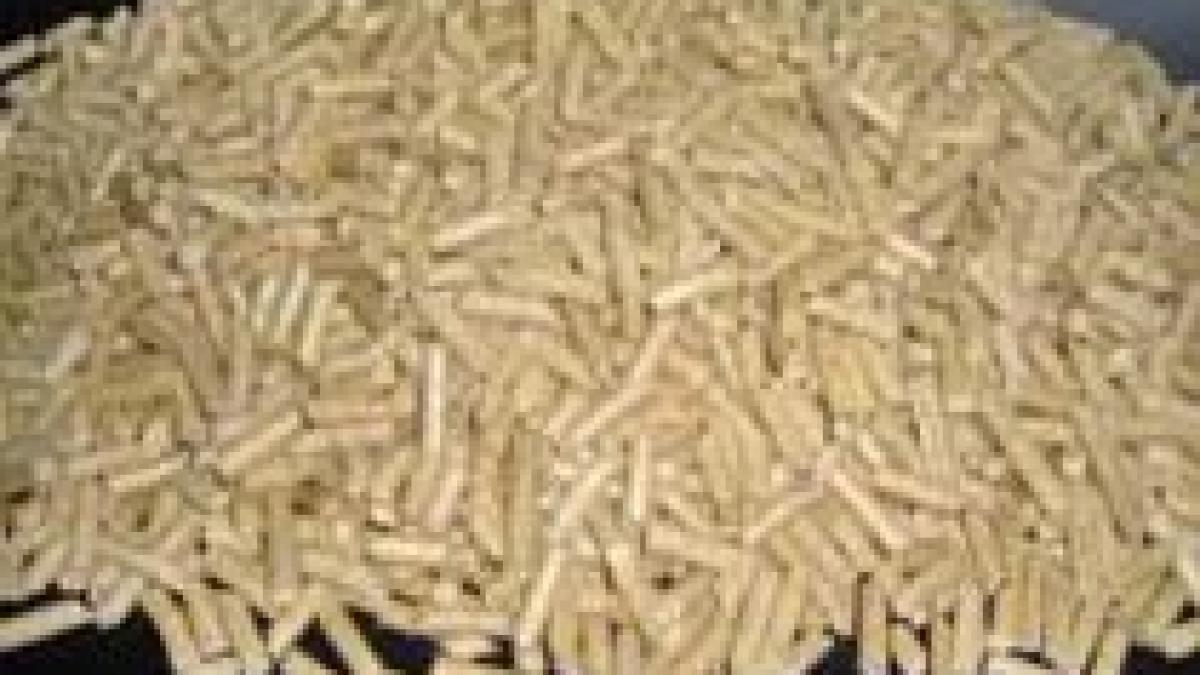 italia peste 10 000 de tone de lemn retrase de pe piata din cauza contaminarii radioactive