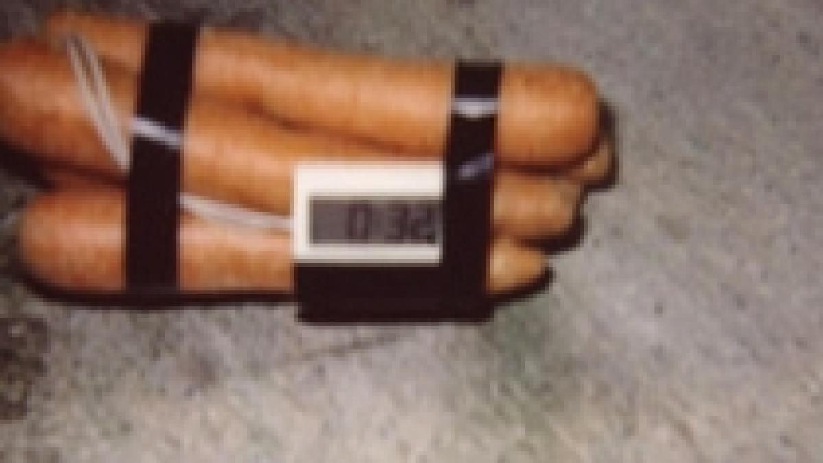 proiectul iepurasul panica in suedia din cauza morcovilor bomba foto