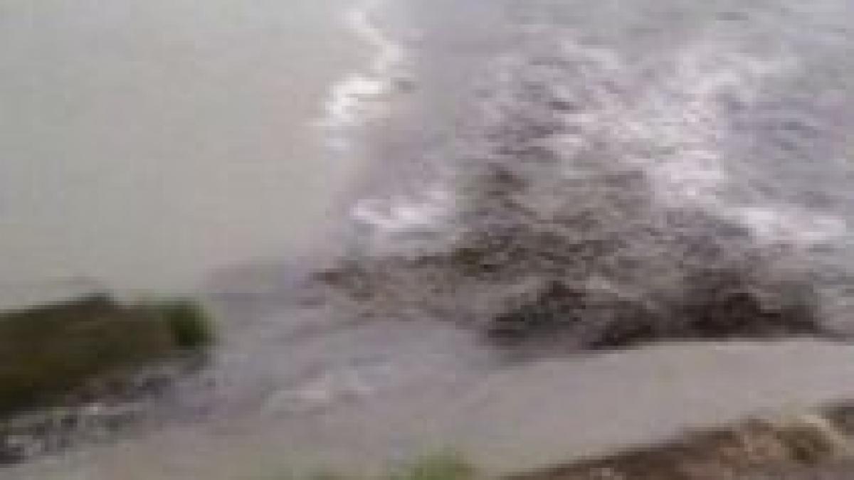 raul mures poluat cu ape murdare in apropiere de orasul targu mures