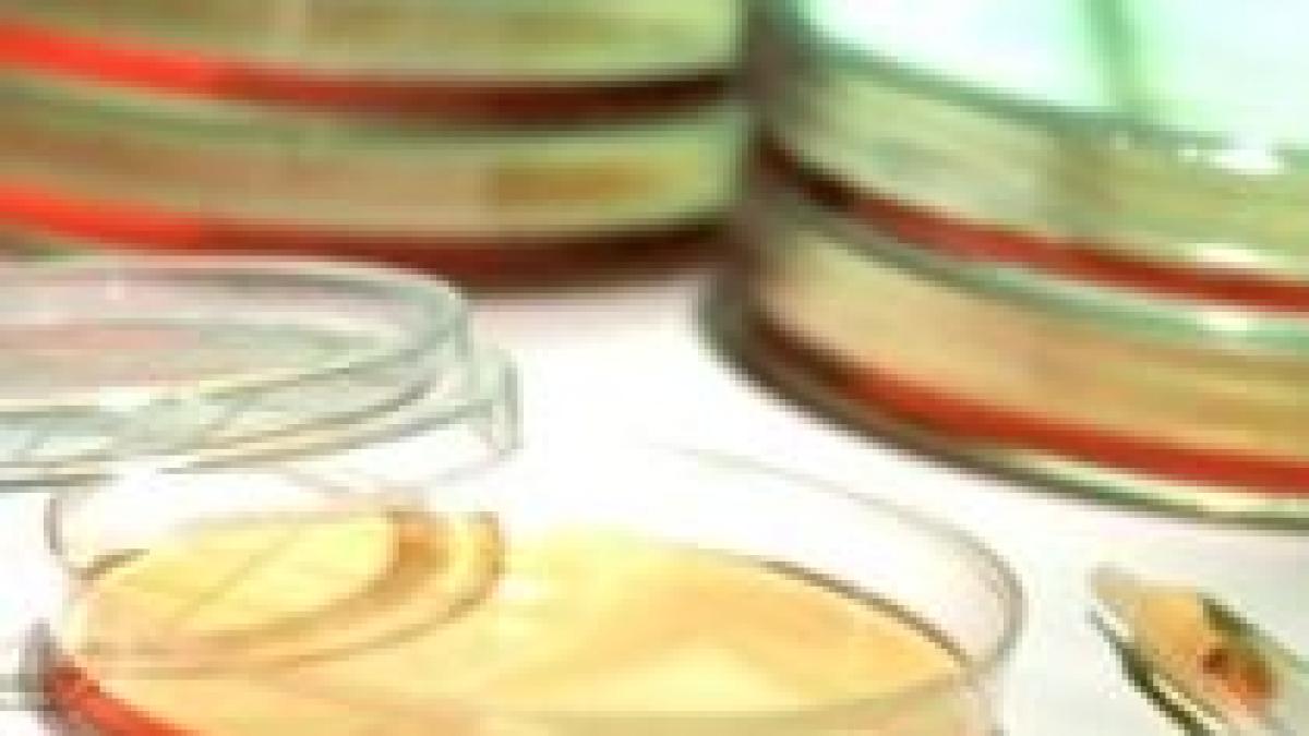 microb trezit la viata dupa 120 000 de ani