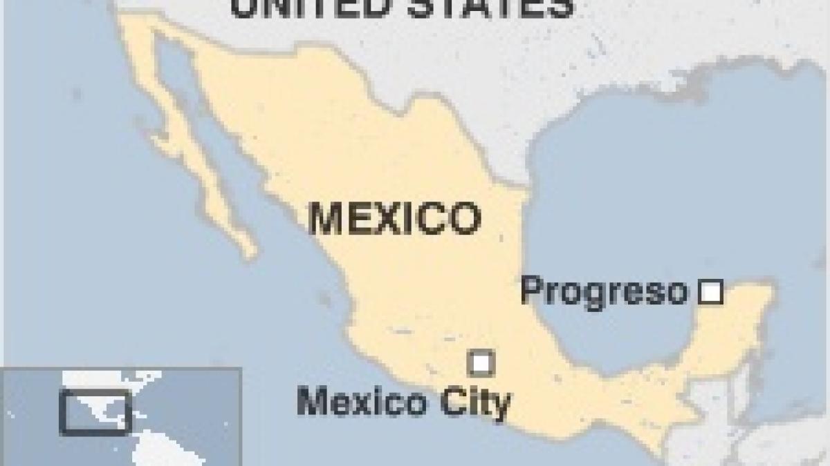 traficantii de droguri sunt inventivi cocaina mexicana ascunsa in rechini video