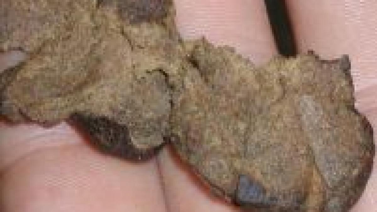 un tanar din craiova a ascuns 400 de grame de hasis in vasul de la toaleta