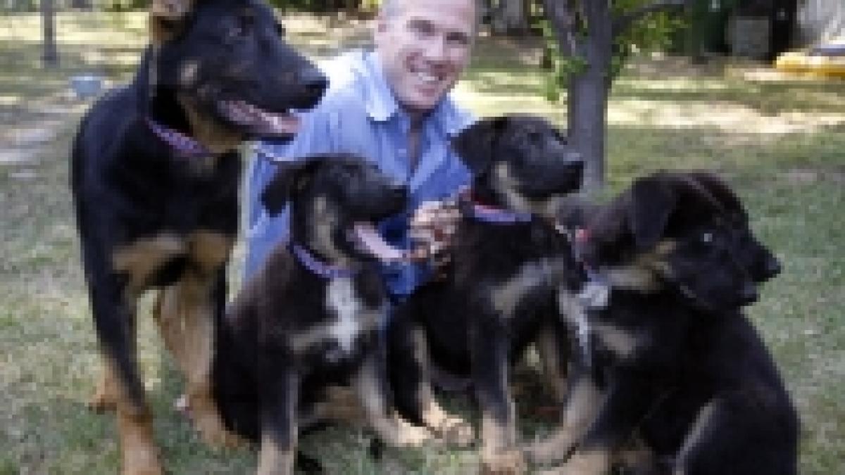 catelul care a salvat mai multe vieti in tragedia de la world trade center clonat