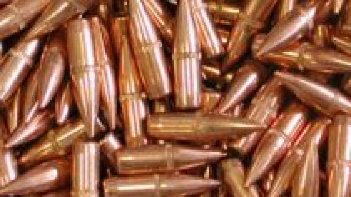 un tir incarcat cu 22 de tone de munitie oprit la vama bechet