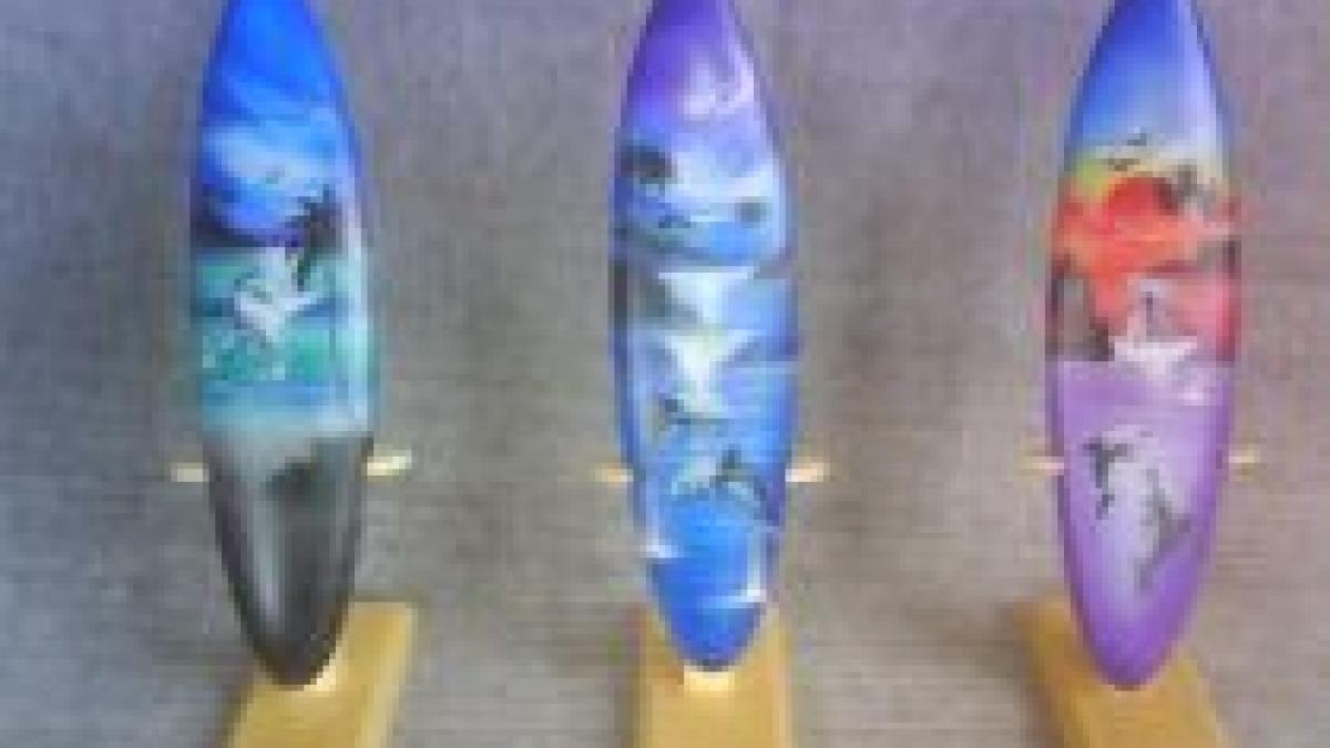 campionat national de surf pentu catei organizat in california