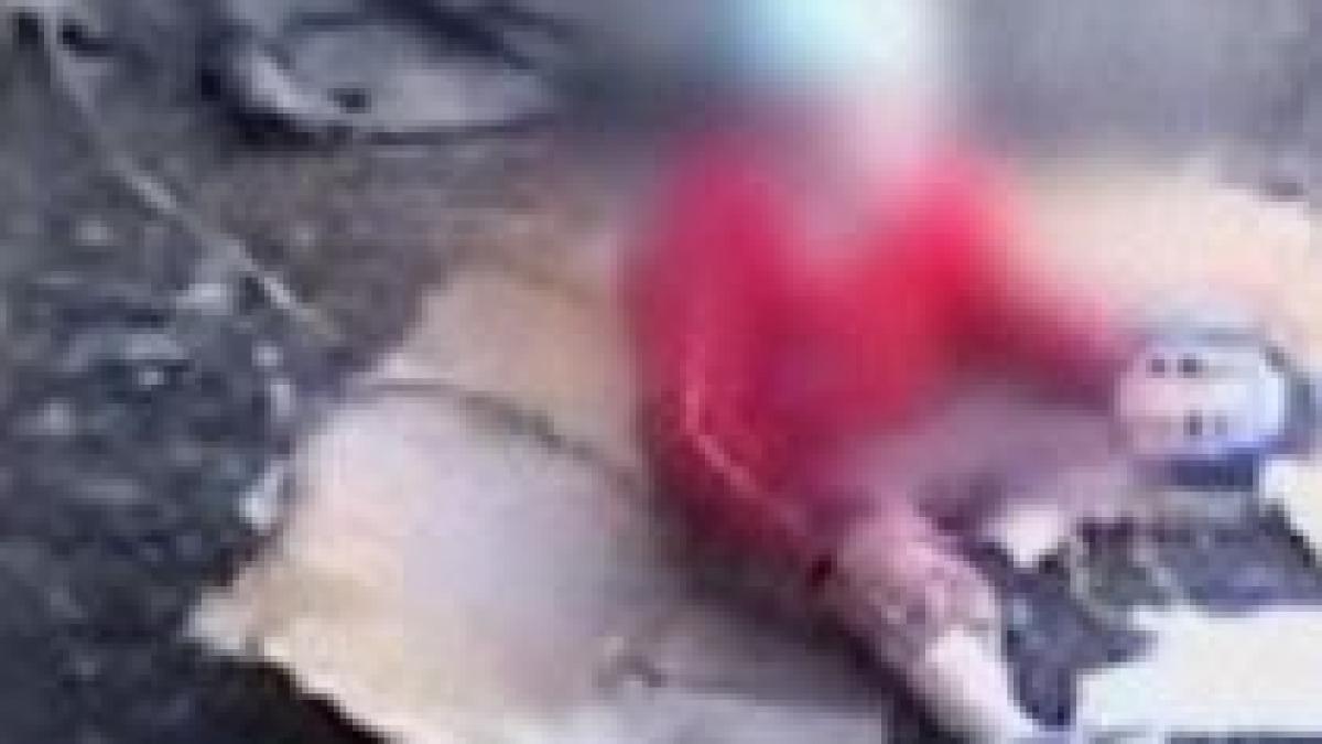 un copil bolnav a fost crescut legat de un copac pana la sase ani video