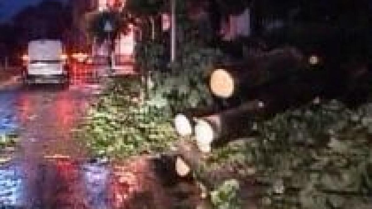 ploi si vijelii in mai multe zone din tara furtunile au smuls copaci si au dat traficul peste cap