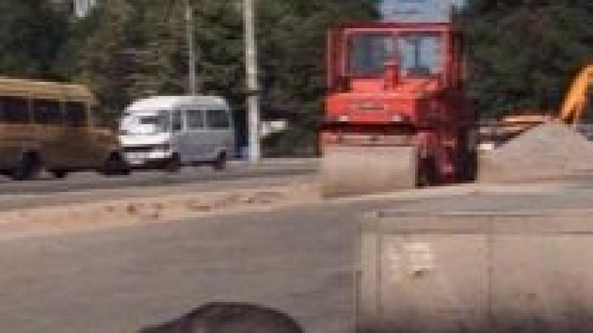 turistii americani care vin in romania sfatuiti sa se fereasca de maidanezi hoti si carute