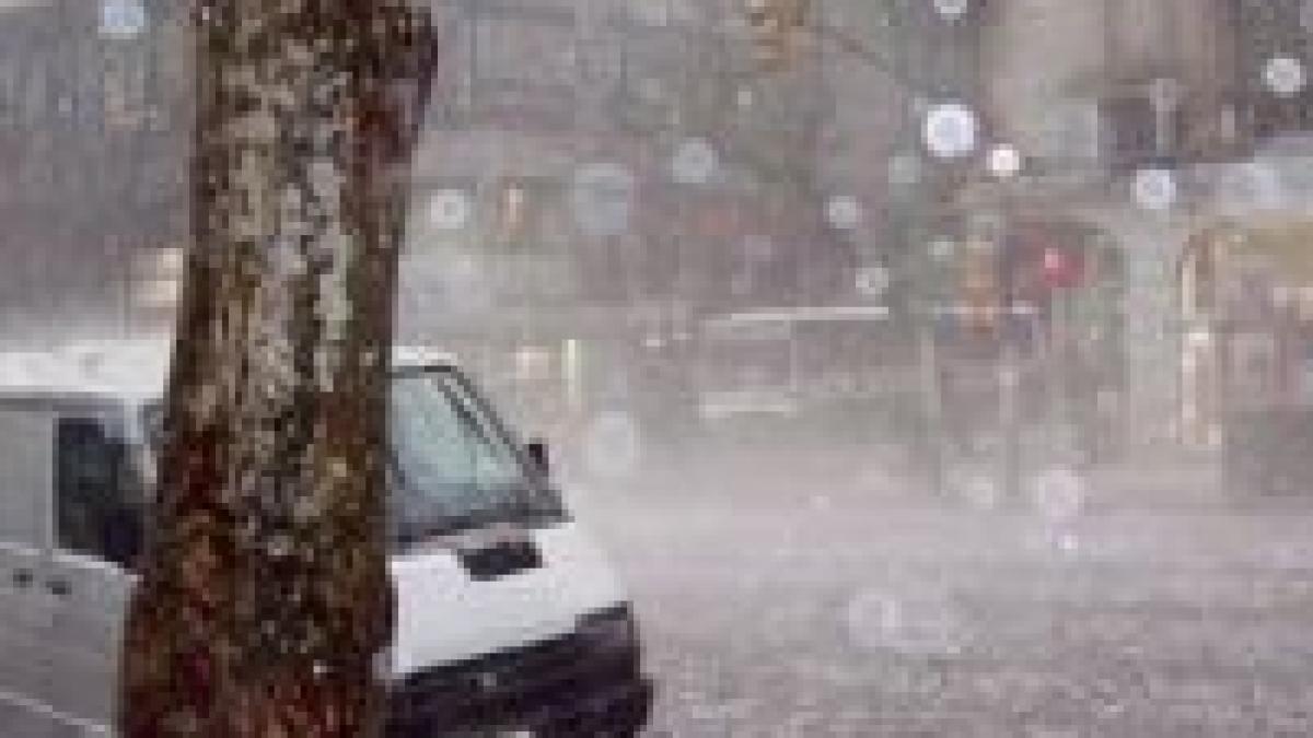 Grindina şi ploile torenţiale au făcut ravagii în vestul ţării