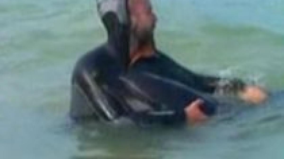 delfinul esuat pe plaja de la eforie sud a murit la delfinariul din constanta