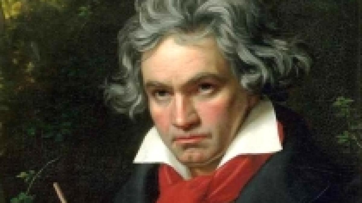 identitatea elisei femeia careia beethoven i a dedicat o piesa muzicala descoperita