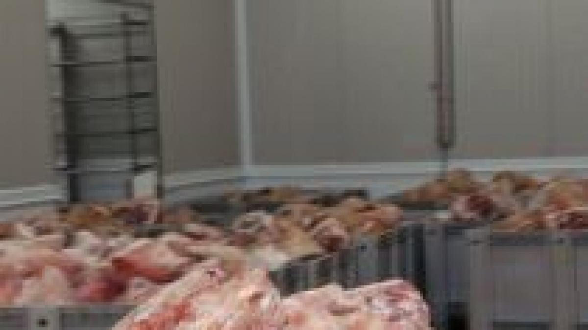 targu jiu peste o tona si jumatate de carne alterata descoperita intr un depozit clandestin