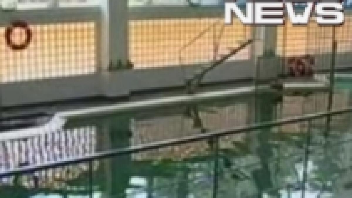 delfinul mark ultimul exemplar al delfinariului din constanta a murit video