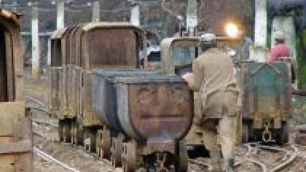 5 000 de angajati din sectorul energetic vor fi disponibilizati in intervalul 2009 2012