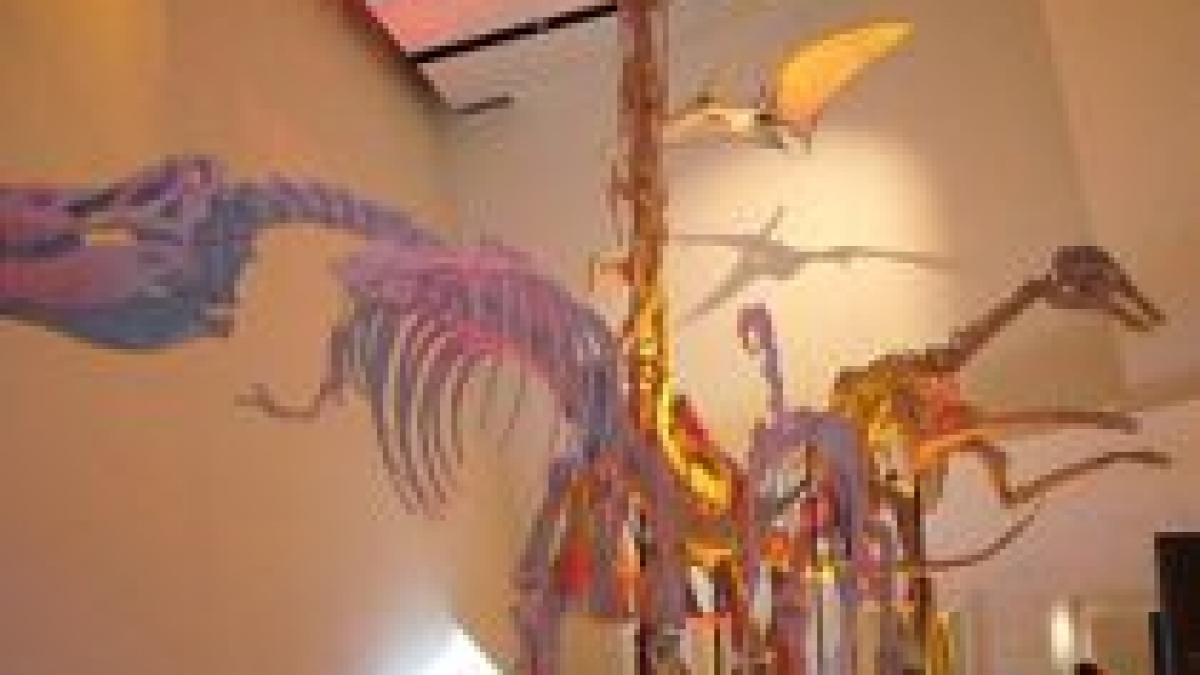 trei specii de dinozauri necunoscute pana acum descoperite in australia