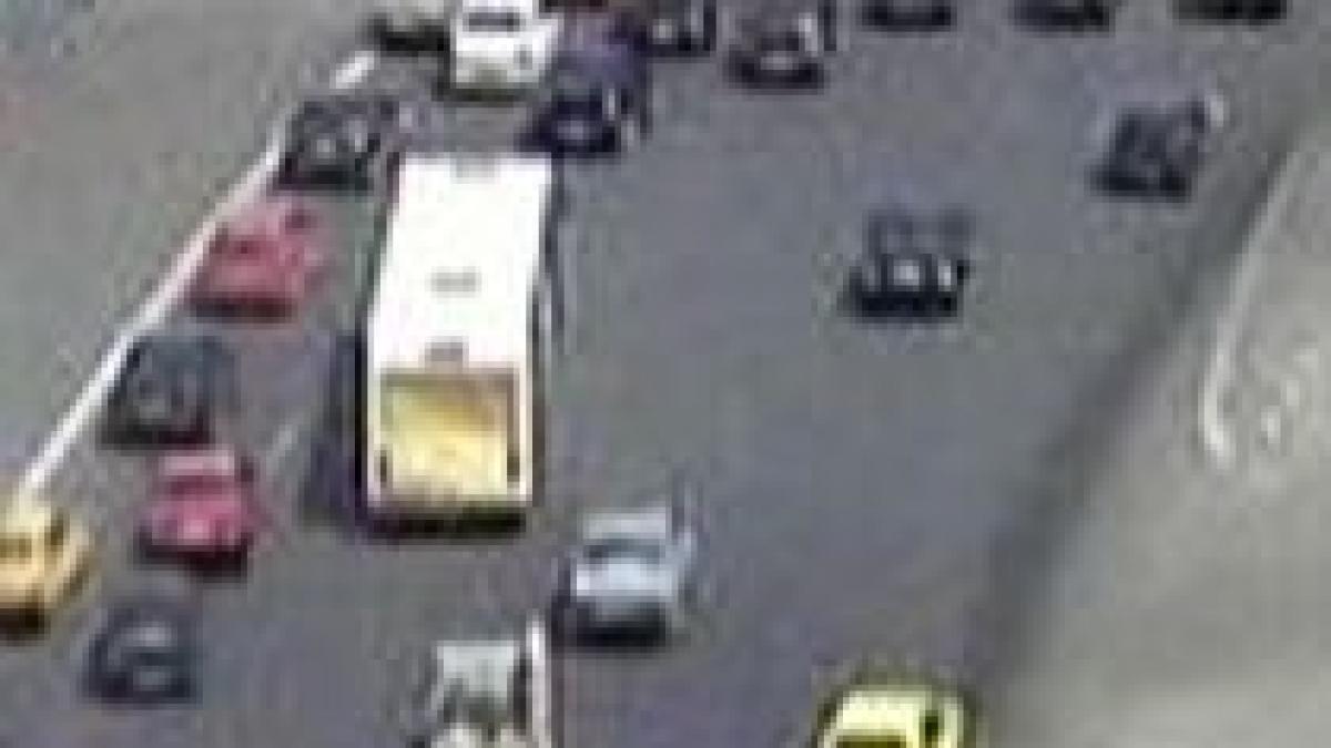 lucrarile la mai multe autostrazi si sosele intarziate din cauza lupilor ursilor si broscutelor